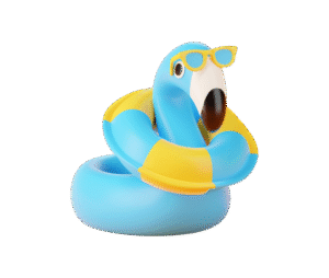 Wondear Dolls: Where Imagination Comes to Life!